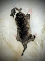 processed/dab21bc1-92b6-4c4c-b275-26e3618ede5a/listing/4eb32312-f1ad-4831-9f8d-a4e393eb6889/3918a74c-af8d-4004-8081-9c6fb01114d0