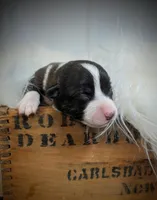 processed/dab21bc1-92b6-4c4c-b275-26e3618ede5a/listing/4eb32312-f1ad-4831-9f8d-a4e393eb6889/556fa0b5-30fa-4139-bead-426dbabcdfce