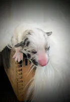 processed/dab21bc1-92b6-4c4c-b275-26e3618ede5a/listing/6bd1333a-f1a3-4f8b-ad71-d34884341e29/d20ec831-22ef-463a-aab7-f3ef98f2473e