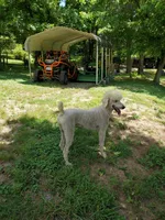 processed/dab35f6c-e761-4f89-a85b-5cbf0a57ee9f/facility/8b674c74-df5c-41db-9b0e-1ecab9f629af