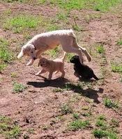 processed/dab35f6c-e761-4f89-a85b-5cbf0a57ee9f/facility/ab4d751e-d576-4d14-871e-45b7e0947c31