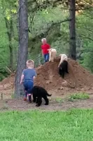 processed/dab35f6c-e761-4f89-a85b-5cbf0a57ee9f/facility/ac538a6d-1705-49f4-9f0b-09b3e9ecab3d