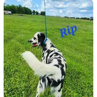 processed/dab8cd7f-31ff-4d3a-b500-cb337b83b373/facility/22455047-2004-41e5-8dbc-b9414a2fe48f