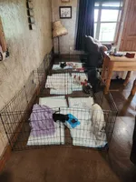 processed/dab8cd7f-31ff-4d3a-b500-cb337b83b373/facility/5d635b93-d9c0-4105-a1bd-cacc466260da