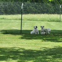 processed/dab8cd7f-31ff-4d3a-b500-cb337b83b373/facility/ccc88a63-1934-48b7-8a18-fb427c116c72