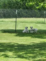 processed/dab8cd7f-31ff-4d3a-b500-cb337b83b373/facility/ccc88a63-1934-48b7-8a18-fb427c116c72