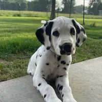 processed/dab8cd7f-31ff-4d3a-b500-cb337b83b373/facility/df7af230-0347-43fd-b8e9-1770d8d645da