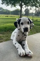 processed/dab8cd7f-31ff-4d3a-b500-cb337b83b373/facility/df7af230-0347-43fd-b8e9-1770d8d645da