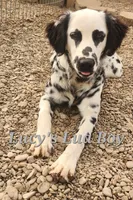 processed/dab8cd7f-31ff-4d3a-b500-cb337b83b373/listing/1ccbb150-03b1-4ddd-8f05-6249dce22ed3/4354cf24-1c70-4317-b03c-d894879a86f0