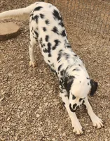 processed/dab8cd7f-31ff-4d3a-b500-cb337b83b373/listing/1ccbb150-03b1-4ddd-8f05-6249dce22ed3/fc2dad4e-266e-492c-b297-82a153416ee7