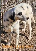 processed/dab8cd7f-31ff-4d3a-b500-cb337b83b373/listing/2583b80a-94fa-46c6-ad64-4a51ff763252/af969fdb-ebd4-4546-9581-e949a0db014a