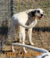 processed/dab8cd7f-31ff-4d3a-b500-cb337b83b373/listing/2583b80a-94fa-46c6-ad64-4a51ff763252/b0d83f2e-3b74-4415-8b8a-73ae168b3851