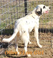 processed/dab8cd7f-31ff-4d3a-b500-cb337b83b373/listing/2583b80a-94fa-46c6-ad64-4a51ff763252/c26d1a7e-391a-4b49-9063-3edd3efb7d20