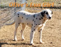 processed/dab8cd7f-31ff-4d3a-b500-cb337b83b373/listing/2583b80a-94fa-46c6-ad64-4a51ff763252/f31288de-2529-41a8-9aff-60daf7c6b48d