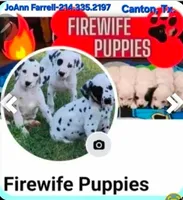 processed/dab8cd7f-31ff-4d3a-b500-cb337b83b373/listing/47fd5ce9-07d8-4e38-a284-29e9c7855f5a/1c70db8e-8c89-453b-8f21-1793f45ced8b