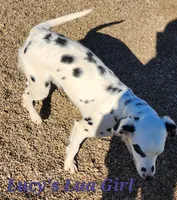 processed/dab8cd7f-31ff-4d3a-b500-cb337b83b373/listing/47fd5ce9-07d8-4e38-a284-29e9c7855f5a/6536f69a-a8d5-4fe7-9cef-38a231044ef6