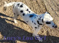 processed/dab8cd7f-31ff-4d3a-b500-cb337b83b373/listing/47fd5ce9-07d8-4e38-a284-29e9c7855f5a/b01bcfb2-ef0a-4ead-a873-58e1fbb79b78