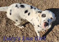 processed/dab8cd7f-31ff-4d3a-b500-cb337b83b373/listing/47fd5ce9-07d8-4e38-a284-29e9c7855f5a/c55b1023-6350-446a-8819-fa13ea12f9e1