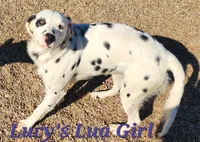 processed/dab8cd7f-31ff-4d3a-b500-cb337b83b373/listing/47fd5ce9-07d8-4e38-a284-29e9c7855f5a/cf88ec71-ffb2-42bd-ae7c-d7267dbebbb4