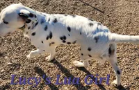 processed/dab8cd7f-31ff-4d3a-b500-cb337b83b373/listing/47fd5ce9-07d8-4e38-a284-29e9c7855f5a/d8eda4f3-3bcd-4e4f-9a6d-3922f90946a6