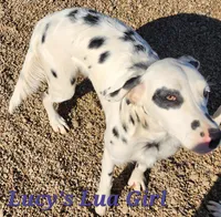 processed/dab8cd7f-31ff-4d3a-b500-cb337b83b373/listing/47fd5ce9-07d8-4e38-a284-29e9c7855f5a/ffaa6568-f815-4aea-b703-f9e7dd186dda