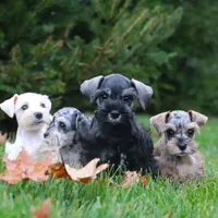 processed/dac767bc-ad2b-47e4-92f4-92f22a389661/facility/086c31f1-f11a-4792-9129-d23d4febb332