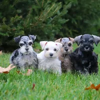 processed/dac767bc-ad2b-47e4-92f4-92f22a389661/facility/138b102e-db5c-4a91-9684-7ac51263ed0a