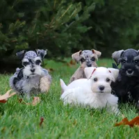 processed/dac767bc-ad2b-47e4-92f4-92f22a389661/facility/16972f11-b3dd-4276-8f99-1b9cd8e78efa