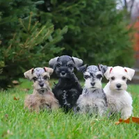 processed/dac767bc-ad2b-47e4-92f4-92f22a389661/facility/429243a9-d15e-45fa-ab60-5046e0d560c9