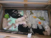 processed/dac7799b-873a-40c1-8784-6f3cadc03ef8/facility/5806a42a-94fb-4dbc-bd96-3c2b2b291578