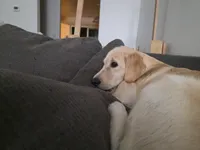 processed/dac7799b-873a-40c1-8784-6f3cadc03ef8/facility/6ba829db-df61-41a7-a35e-692b5ab8bcf8