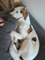 processed/dac7799b-873a-40c1-8784-6f3cadc03ef8/facility/b7a02de5-cb53-4ce5-9562-f9e884814012