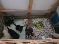 processed/dac7799b-873a-40c1-8784-6f3cadc03ef8/facility/c75d6cab-604c-4776-8328-837fc6f83594