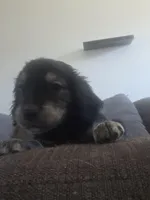 processed/dac7799b-873a-40c1-8784-6f3cadc03ef8/listing/17f87872-0ed8-41cb-a44c-cda235491e19/b37fa7ab-940e-4a1e-ba9d-91a7b2929529