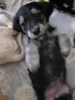 processed/dac7799b-873a-40c1-8784-6f3cadc03ef8/listing/17f87872-0ed8-41cb-a44c-cda235491e19/d278d754-7e2c-46c7-83a9-1b30cce50844