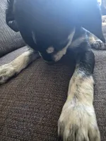 processed/dac7799b-873a-40c1-8784-6f3cadc03ef8/listing/35da72dc-0d83-40dc-9dc4-ea7df757fd1f/06e5a732-d996-432c-9b1b-7a8e61d3844e