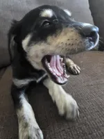 processed/dac7799b-873a-40c1-8784-6f3cadc03ef8/listing/35da72dc-0d83-40dc-9dc4-ea7df757fd1f/68464a26-650d-4842-b405-e4c70eb0f417