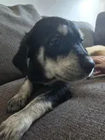 processed/dac7799b-873a-40c1-8784-6f3cadc03ef8/listing/35da72dc-0d83-40dc-9dc4-ea7df757fd1f/6bf0f833-f137-474e-9ef9-a58c69b3d5a9