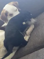 processed/dac7799b-873a-40c1-8784-6f3cadc03ef8/listing/35da72dc-0d83-40dc-9dc4-ea7df757fd1f/829f7ef9-da4f-4634-83b7-3c74fae9d356