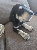 processed/dac7799b-873a-40c1-8784-6f3cadc03ef8/listing/35da72dc-0d83-40dc-9dc4-ea7df757fd1f/f310f601-7c47-42d2-969e-3e6af1c0061a