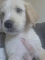 processed/dac7799b-873a-40c1-8784-6f3cadc03ef8/listing/3f8ddc9a-716b-45ed-b4b6-2b65e0c7e299/78d3d6e7-32b2-4fa5-86bb-0fbab1907dd3