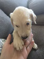 processed/dac7799b-873a-40c1-8784-6f3cadc03ef8/listing/5d1ca0bd-d91b-4adf-b11b-71c5cdc26ff7/6867c89e-3e55-4002-81d3-32f74fbc9a03