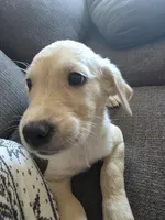 processed/dac7799b-873a-40c1-8784-6f3cadc03ef8/listing/5d1ca0bd-d91b-4adf-b11b-71c5cdc26ff7/fc8ac93f-15c0-4168-b224-c16602a4e168