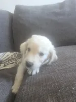 processed/dac7799b-873a-40c1-8784-6f3cadc03ef8/listing/77d0e75d-1171-442f-acde-472ebe5dac88/10cd2679-500b-45e1-b4ac-15a2ca557969