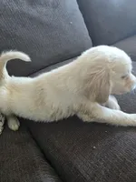 processed/dac7799b-873a-40c1-8784-6f3cadc03ef8/listing/77d0e75d-1171-442f-acde-472ebe5dac88/678fc2c0-6e5e-43f3-b9cb-24899384c5d1