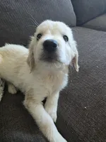 processed/dac7799b-873a-40c1-8784-6f3cadc03ef8/listing/77d0e75d-1171-442f-acde-472ebe5dac88/c9fb6037-993a-465d-8fd3-24885d08076f