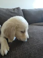 processed/dac7799b-873a-40c1-8784-6f3cadc03ef8/listing/77d0e75d-1171-442f-acde-472ebe5dac88/dd72d860-e2ca-4272-81a1-afd427f6ac84