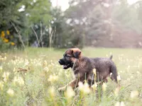 processed/dad3f353-0eff-419a-9234-e944c48b0a73/facility/116c1b89-c7bb-4bdf-9a06-be6d01d220dc