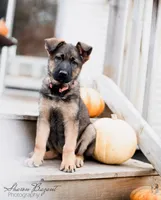 processed/dad3f353-0eff-419a-9234-e944c48b0a73/facility/2d383253-b3e3-4c16-ae67-961a695b66b4