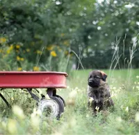 processed/dad3f353-0eff-419a-9234-e944c48b0a73/facility/2f7266dd-0113-40c9-a866-943d1ef03b5e